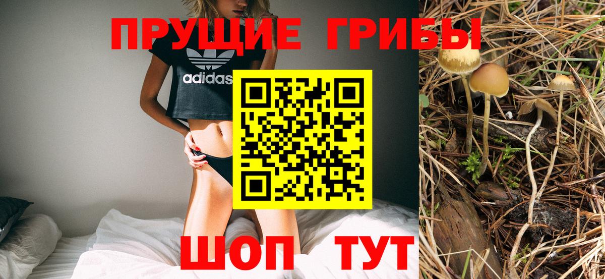 Галлюциногенные грибы GOLDEN TEACHER Жигулёвск