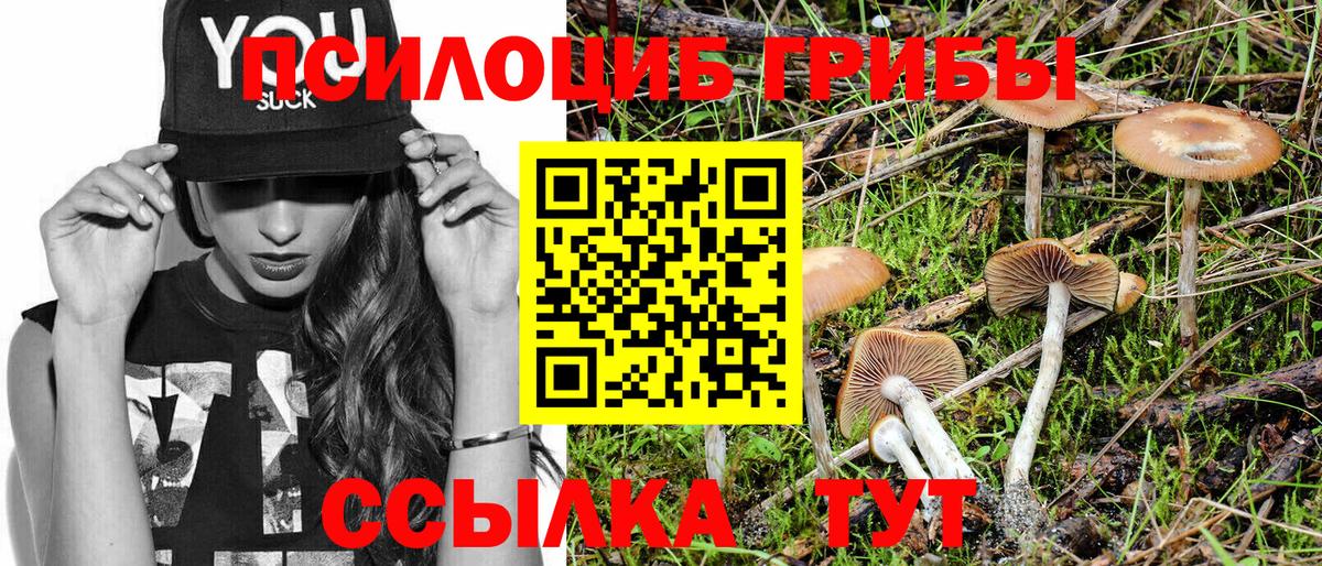 Жигулёвск  Галлюциногенные грибы мухоморы  закладки  Вход с VPN 