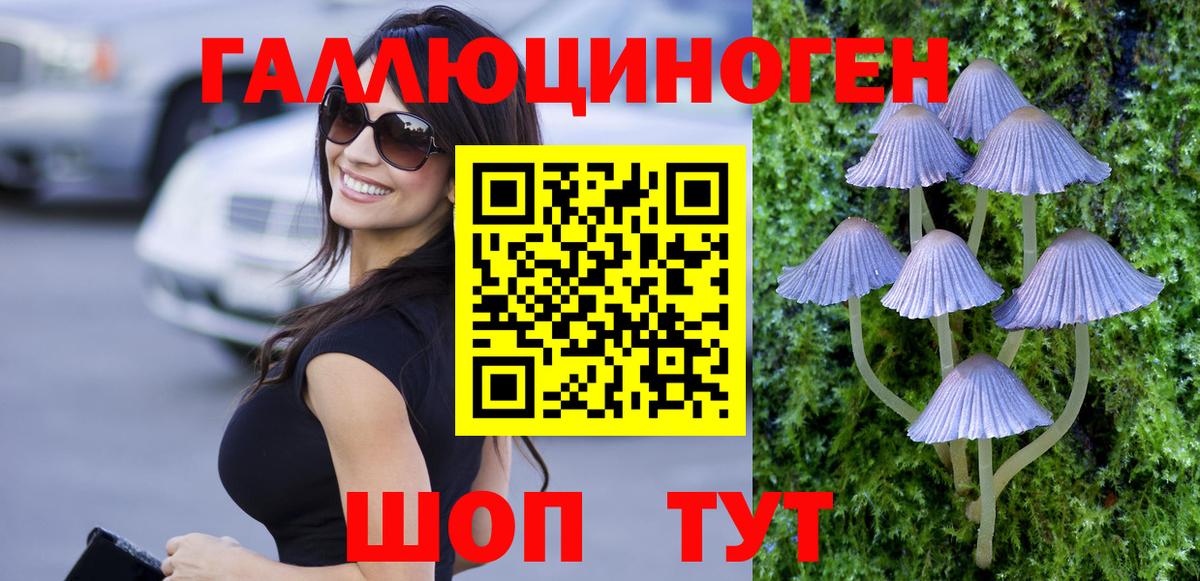 Галлюциногенные грибы GOLDEN TEACHER Жигулёвск